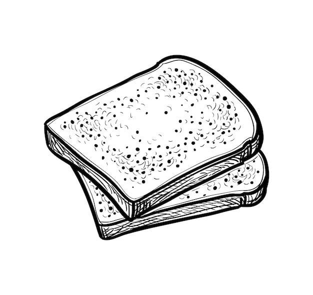 Esbozo de tostadas con tinta