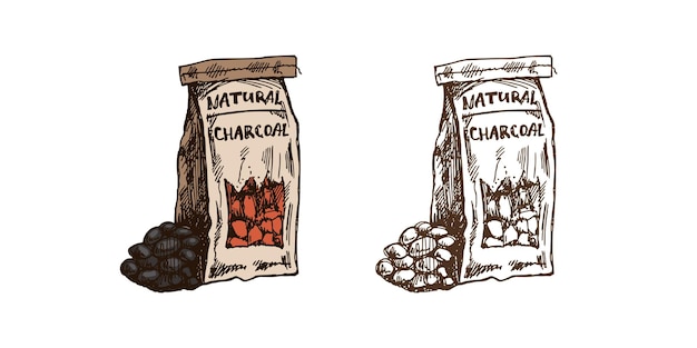 Esbozo vectorial colorido y monocromático dibujado a mano de una bolsa de papel de carbón para barbacoa