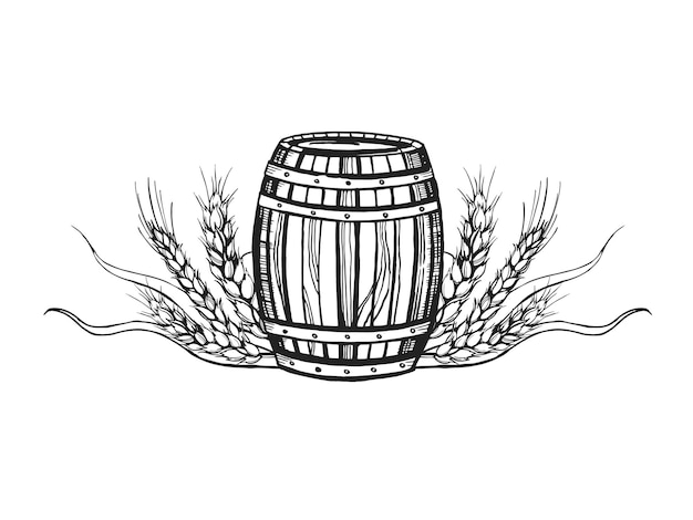 Esbozo vectorial dibujado a mano de un barril de madera para vino, cerveza, espigas de trigo, ilustración de trigo de barril de madera