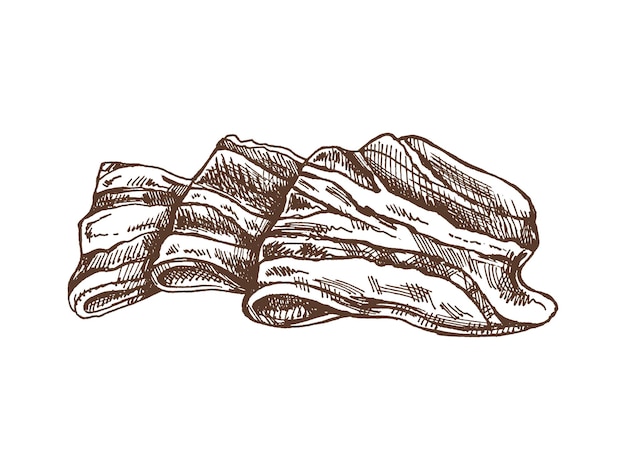 Vector esbozo vectorial dibujado a mano de jamón o rebanada de jamón de carne de cerdo prosciutto italiano esbozo vintage carnicero