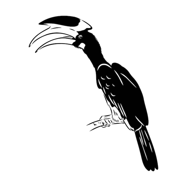 Esbozo vectorial de un pájaro dibujado a mano Arte de animales lineales