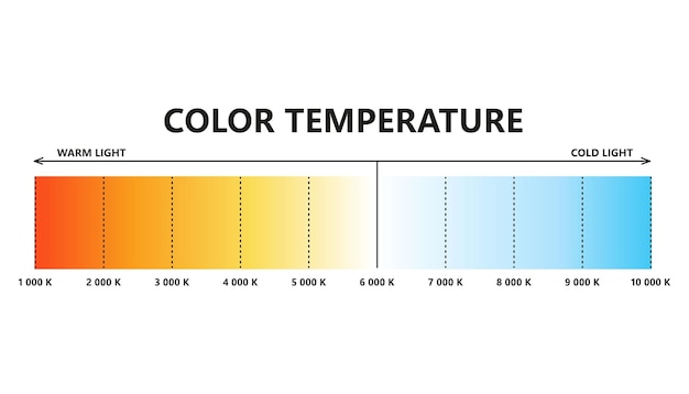 Escala de temperatura de color claro Escala de temperatura Kelvin Infografía de colores claros visibles Gráfico de tonos blancos Gradiente blanco cálido y frío Ilustración vectorial aislada sobre fondo blanco