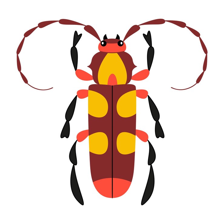 Vector escarabajo estilizado con un diseño único y colorido dibujado a mano en estilo plano de moda