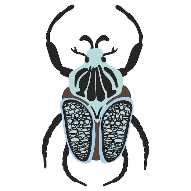 Escarabajo Goliathus regius