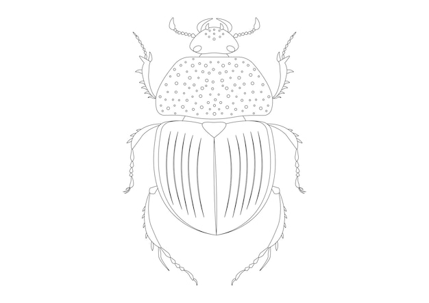 Escarabajo verde Trypocopris Vernalis en blanco y negro Página para colorear de Escarabajo verde Trypocopris Vernalis