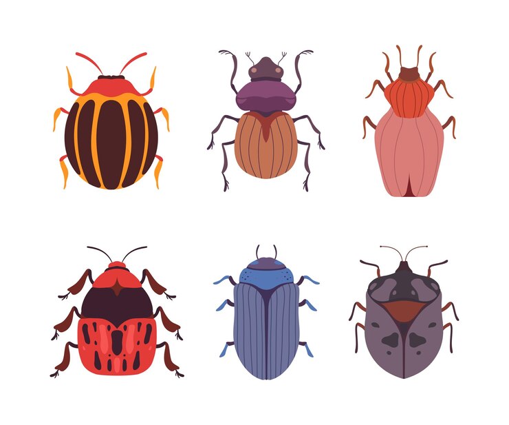Vector escarabajos e insectos como conjunto de vectores de insectos alados que se arrastran y se arrastran