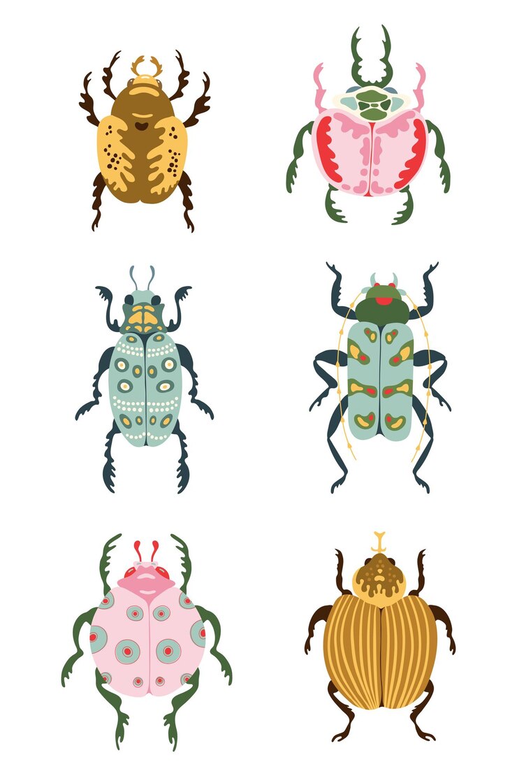 Vector escarabajos exóticos de especies de insectos en estilo de dibujos animados