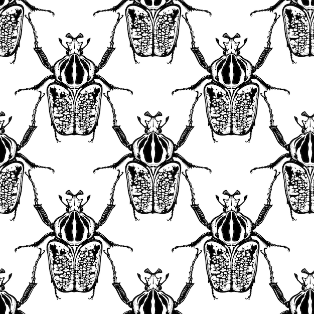 Escarabajos goliat insectos de patrones sin fisuras