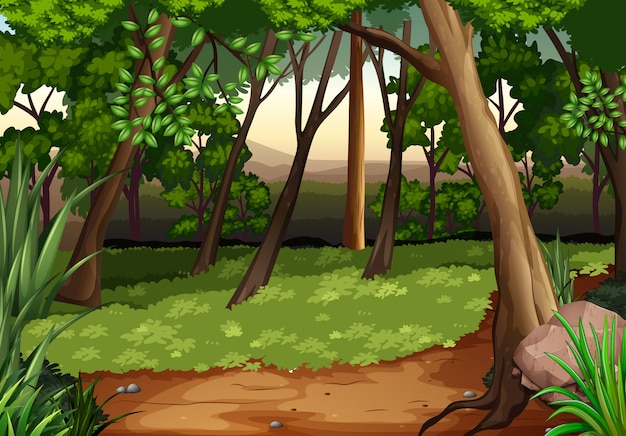 Vector escena con arboles y campo en bosque