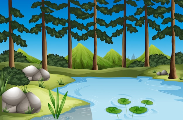 Escena del bosque con arboles y rio.
