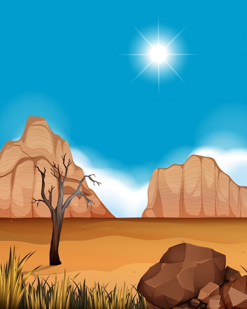 Vector escena del desierto con cañones y campo.