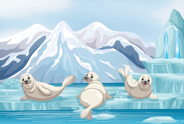 Escena con focas blancas sobre hielo.