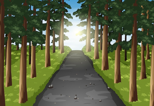 Vector escena de fondo del camino en el bosque