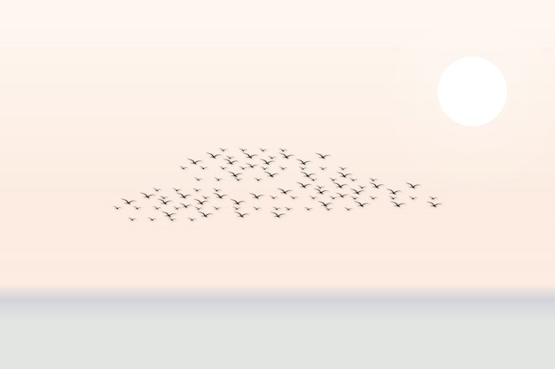 Vector escena de fondo con muchas aves en el cielo