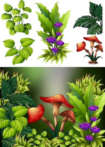 Vector escena de fondo con setas y flores