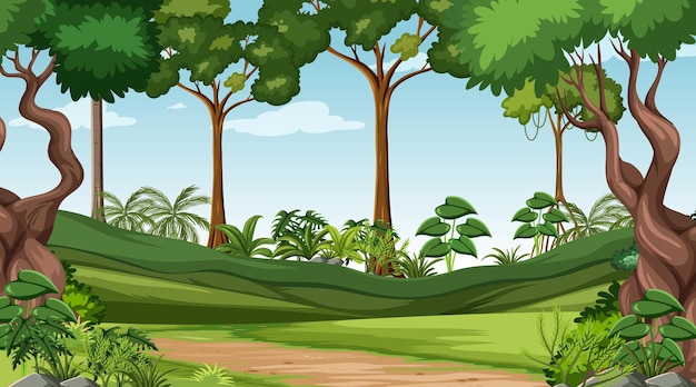 Escena forestal con varios árboles forestales