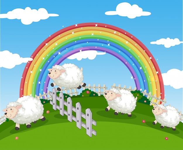 Vector escena de granja con ovejas y arcoiris