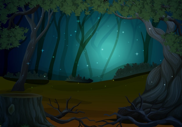 Vector escena con luciérnagas en el bosque por la noche