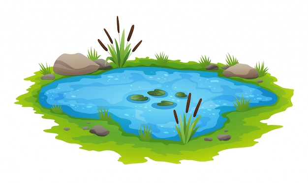 Vector escena natural de estanque natural. pequeño estanque decorativo azul aislado en blanco, lugar de pesca de paisaje de naturaleza de plantas de lago. paisaje de estanque natural con flor de flor. diseño gráfico para la temporada de primavera.