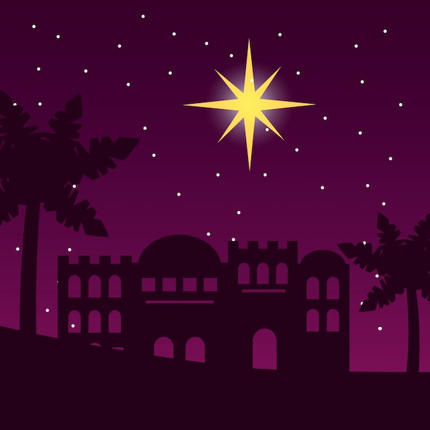 Escena nocturna de la estrella de la palma del desierto de jerusalén