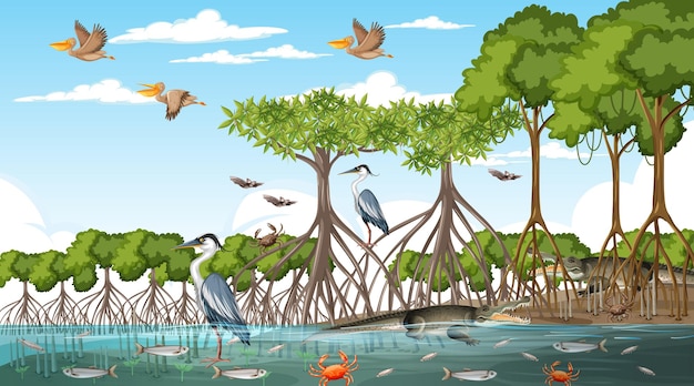 Vector escena de paisaje de bosque de manglar durante el día.