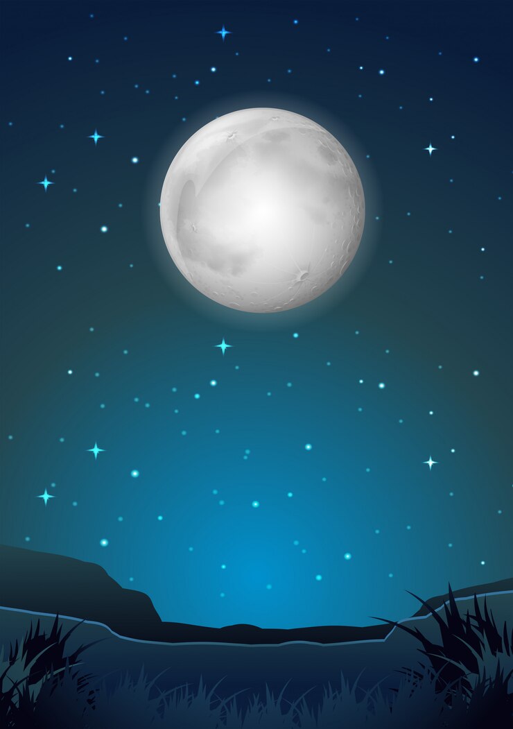 Vector escena del paisaje de la noche oscura