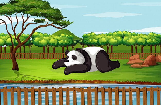 Escena con panda en jardín