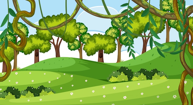 Una escena de parque verde