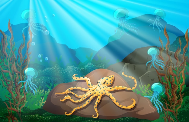 Escena submarina con calamares en roca