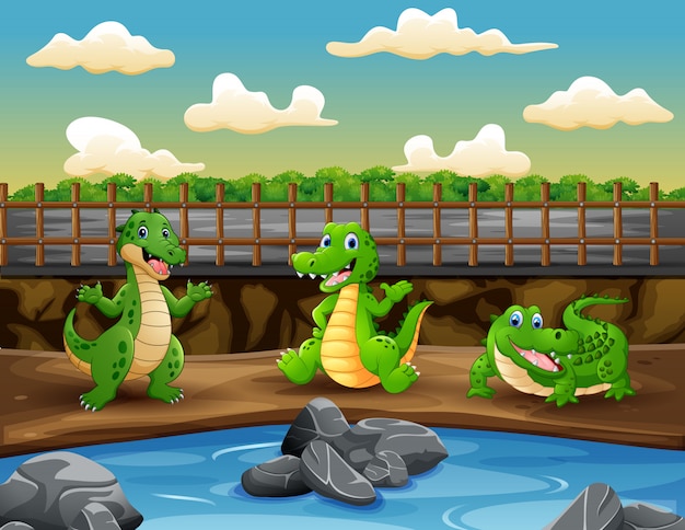 Escena con tres cocodrilos en la ilustración del zoológico