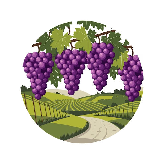 Escena de viñedos con uvas y colinas onduladas