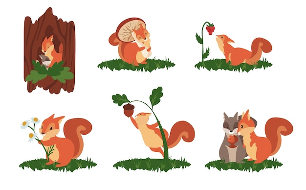 Escenas de ardillas de dibujos animados Animales salvajes lindos en diferentes poses saltan juegan y duermen Vida silvestre ardilla divertida Ilustración vectorial diseño de escenarios ardillas lindas paisaje naturaleza