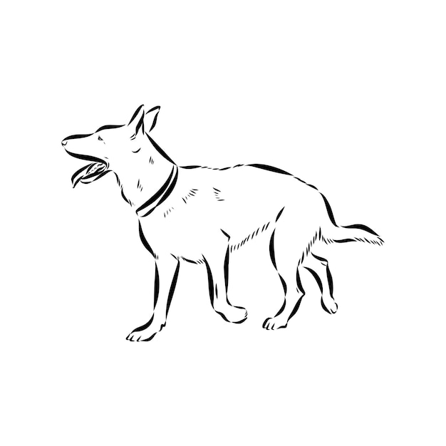 Escenas de entrenamiento de perros con personajes de dibujos animados de un hombre y su mascota aprendiendo varios comandos