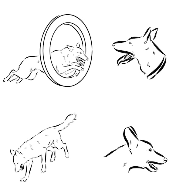 Escenas de entrenamiento de perros con personajes de dibujos animados de un hombre y su mascota aprendiendo varios comandos