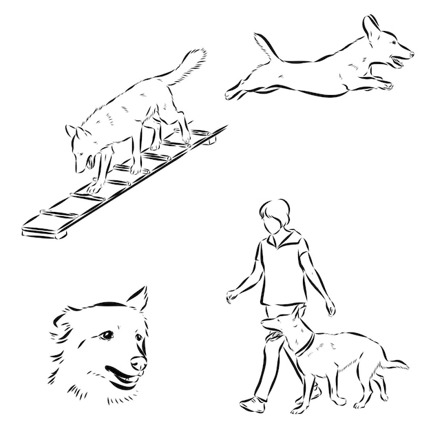 Escenas de entrenamiento de perros con personajes de dibujos animados de un hombre y su mascota aprendiendo varios comandos