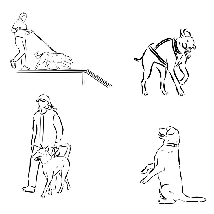 Vector escenas de entrenamiento de perros con personajes de dibujos animados de un hombre y su mascota aprendiendo varios comandos