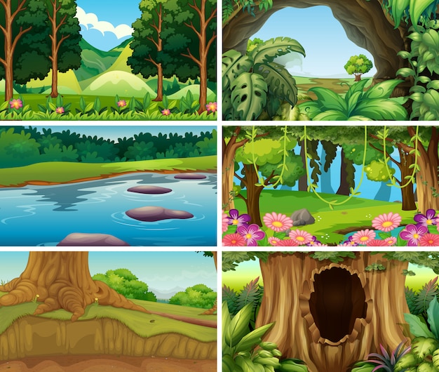 Escenas de la naturaleza del paisaje en blanco vacío