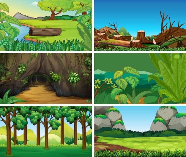 Escenas de la naturaleza del paisaje en blanco vacío