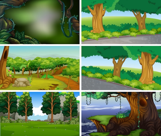 Escenas de la naturaleza del paisaje en blanco vacío