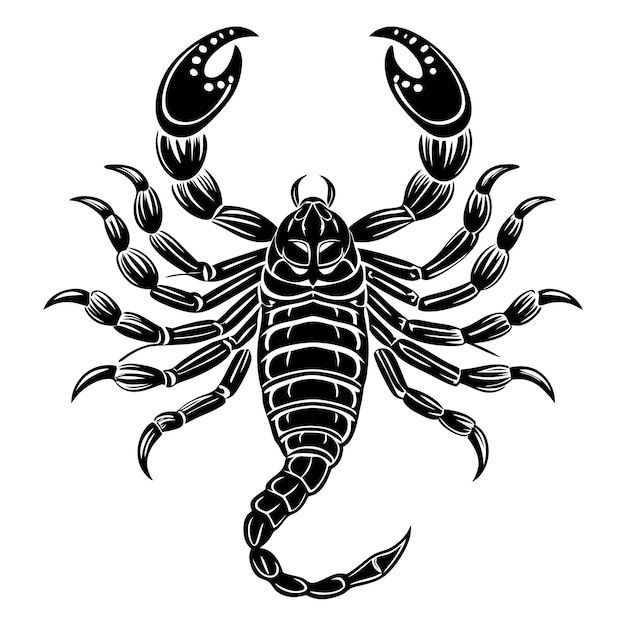 un escorpión para el diseño de la camiseta