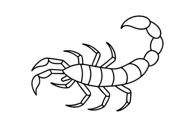 Escorpión en estilo simple de garabato sobre fondo blanco