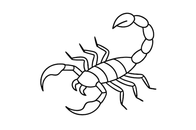 Escorpión en estilo simple de garabato sobre fondo blanco