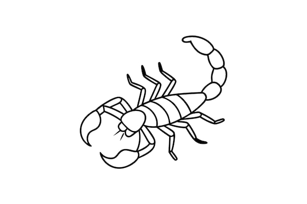 Escorpión en estilo simple de garabato sobre fondo blanco
