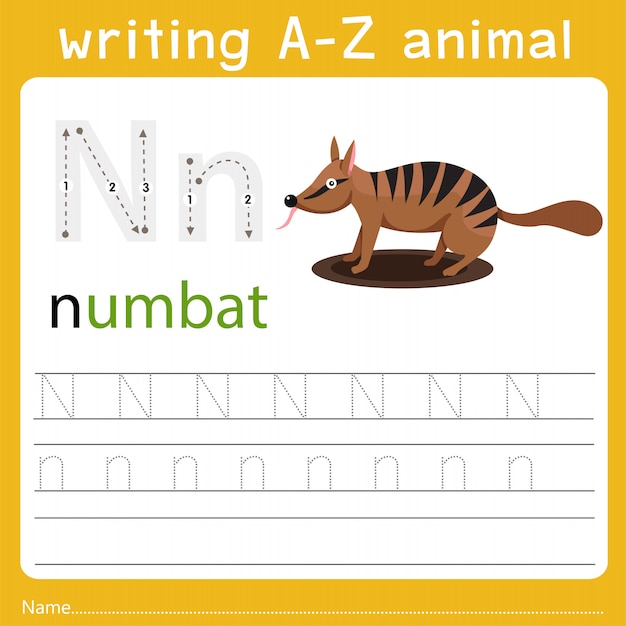 Escribiendo az animal n