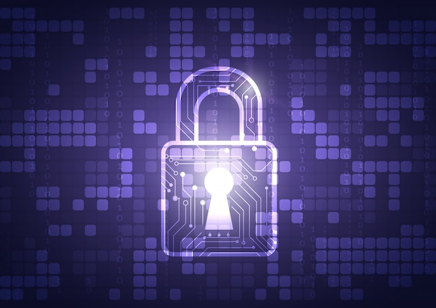 Escudo de protección de datos en línea y resumen con tecnología informática