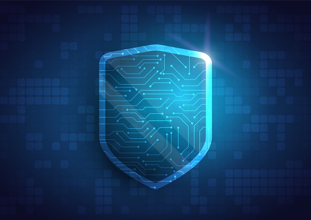 Escudo de protección de datos en línea y resumen con tecnología informática