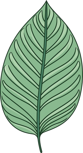 Vector esencia de hojas ilustraciones vectoriales botánicas armonía infinita fondos vectoriales de hojas sin costuras