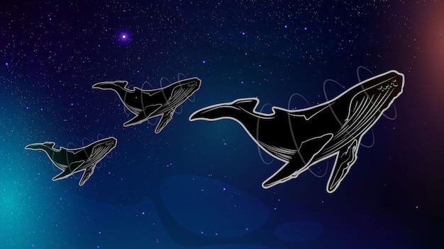 Vector espacio ballenas