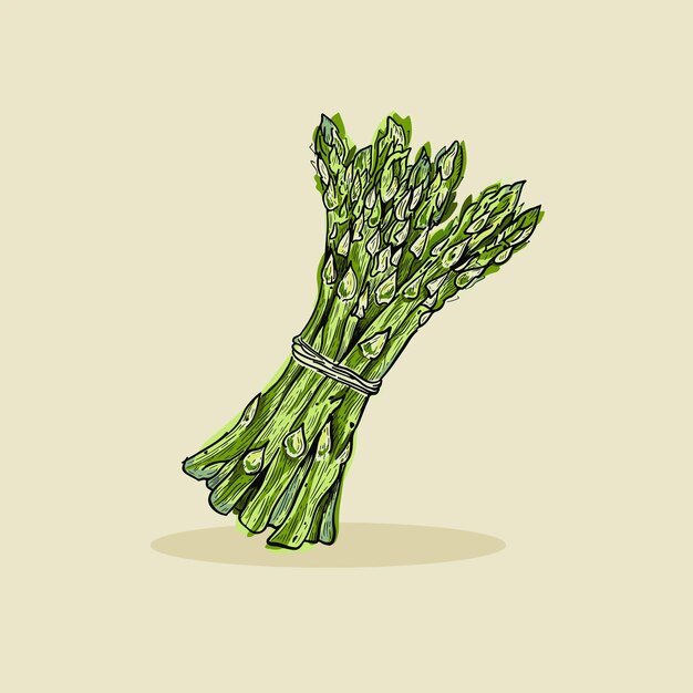 Espárragos vegetales dibujos animados vector icono ilustración comida naturaleza icono premium plano