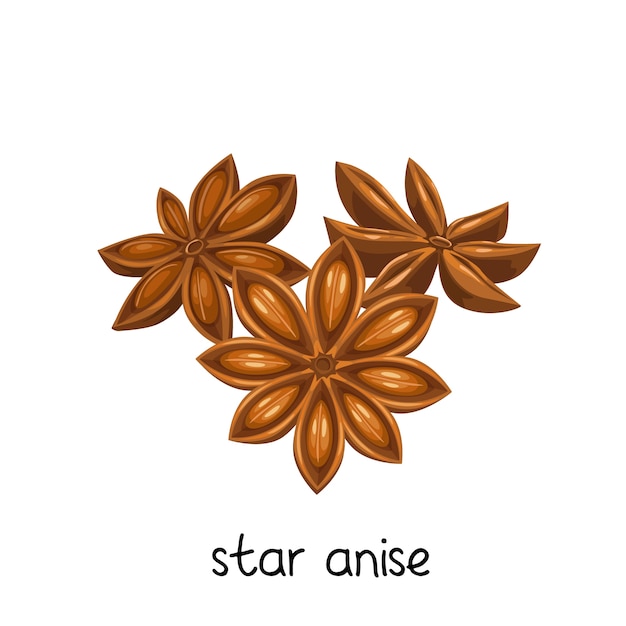 Especia para producto de diseño aislado en blanco